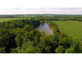 Property photo 3 - LAND AUCTION - 220+/- ACRES IN 7 TRACTS/3 FARMS IN LAGRANGE & STEUBEN COUNTIES, INDIANA